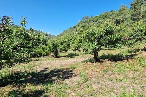 Tomt i Mafra, Lisbon, Mafra - € 56 000 | Ref: 123820 - foto 23