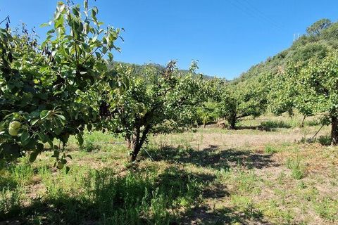 Tomt i Mafra, Lisbon, Mafra - € 56 000 | Ref: 123820 - foto 24