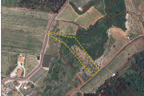 Grond in Mafra, Lisbon, Mafra - € 56.000 | Ref: 123820 - foto 28