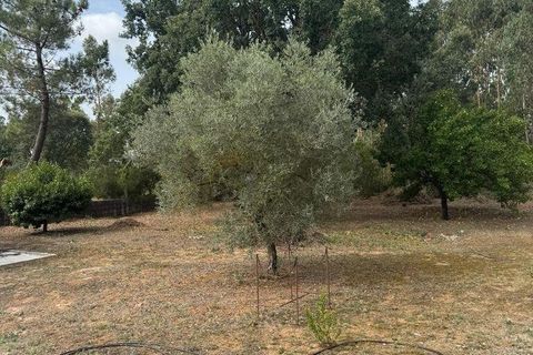 Stadthaus in Alcobaca, Leiria, Alcobaca - € 955.000 | Ref: 839767 - Foto 39
