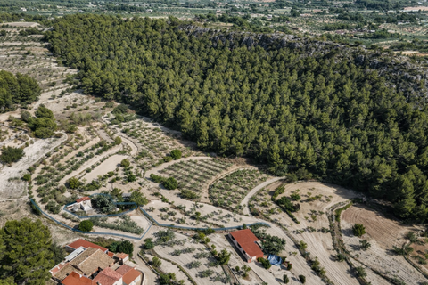 Haus in Ibi, Alicante, Ibi - € 90.000 | Ref: GM2965 - Foto 7