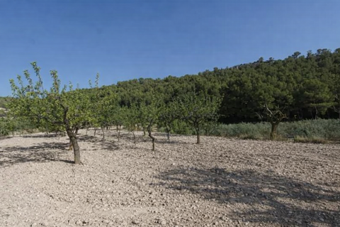 Haus in Ibi, Alicante, Ibi - € 90.000 | Ref: GM2965 - Foto 11