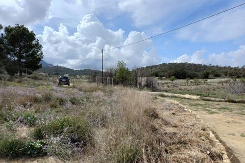 Villa i La Zarza, Murcia, La Zarza - € 82.000 | Ref: CC0656 - foto 10
