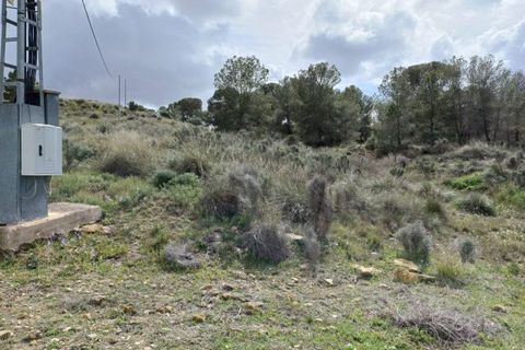 Villa i La Zarza, Murcia, La Zarza - € 82.000 | Ref: CC0656 - foto 13