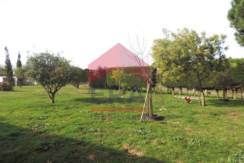 Villa a Carvalhal, Leiria, Carvalhal - € 850.000 | Ref: 130250335 - foto 20