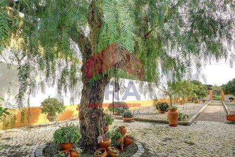 Villa a Carvalhal, Leiria, Carvalhal - € 850.000 | Ref: 130250335 - foto 21