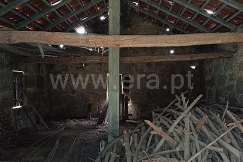 Terra a Seia, Guarda, Seia - € 70.000 | Ref: 382260021 - foto 2