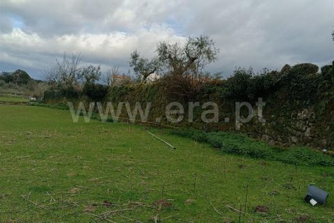 Terra a Seia, Guarda, Seia - € 70.000 | Ref: 382260021 - foto 4