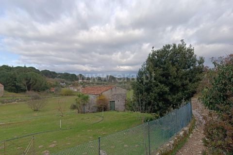 Terra a Seia, Guarda, Seia - € 70.000 | Ref: 382260021 - foto 5