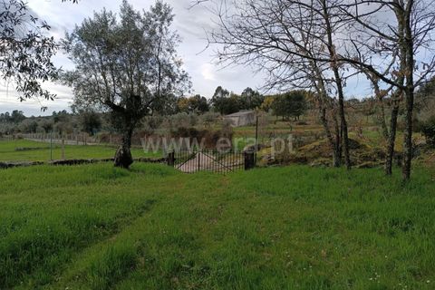 Terra a Seia, Guarda, Seia - € 70.000 | Ref: 382260021 - foto 7