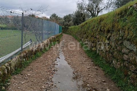 Terra a Seia, Guarda, Seia - € 70.000 | Ref: 382260021 - foto 9