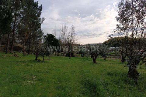 Terra a Seia, Guarda, Seia - € 70.000 | Ref: 382260021 - foto 11