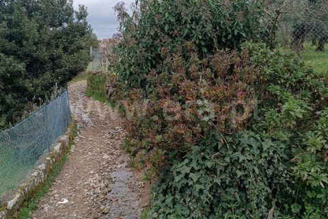Terra a Seia, Guarda, Seia - € 70.000 | Ref: 382260021 - foto 12