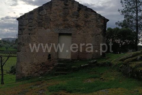 Terra a Seia, Guarda, Seia - € 70.000 | Ref: 382260021 - foto 13