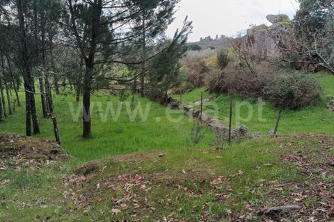 Terra a Seia, Guarda, Seia - € 70.000 | Ref: 382260021 - foto 14