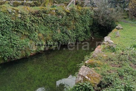 Terra a Seia, Guarda, Seia - € 70.000 | Ref: 382260021 - foto 15