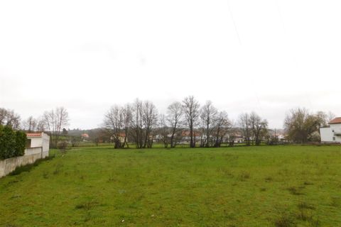 Terra a Seia, Guarda, Seia - € 35.000 | Ref: 382260022 - foto 2