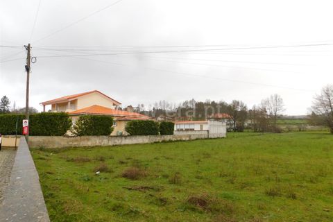 Terra a Seia, Guarda, Seia - € 35.000 | Ref: 382260022 - foto 3