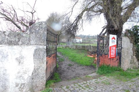 Terra a Seia, Guarda, Seia - € 35.000 | Ref: 382260022 - foto 4