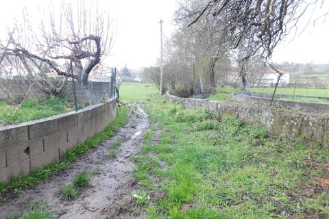 Terra a Seia, Guarda, Seia - € 35.000 | Ref: 382260022 - foto 5