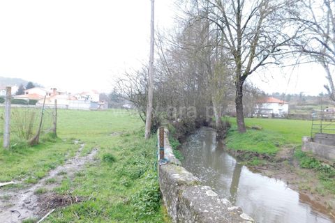 Terra a Seia, Guarda, Seia - € 35.000 | Ref: 382260022 - foto 6