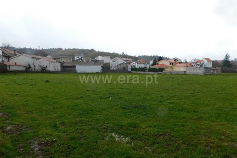 Terra a Seia, Guarda, Seia - € 35.000 | Ref: 382260022 - foto 7