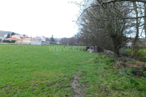 Terra a Seia, Guarda, Seia - € 35.000 | Ref: 382260022 - foto 8