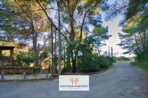 Terra a Canyamel, Mallorca, Canyamel - € 150.000 | Ref: 26-012 - foto 2