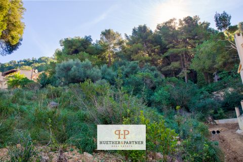 Terra a Canyamel, Mallorca, Canyamel - € 150.000 | Ref: 26-012 - foto 3