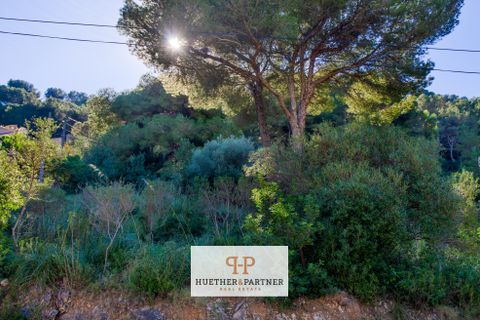 Terra a Canyamel, Mallorca, Canyamel - € 150.000 | Ref: 26-012 - foto 5