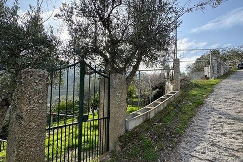 Helårsgrund i Tabuaco, Viseu, Tabuaco - € 43.000 | Ref: 830892 - foto 4