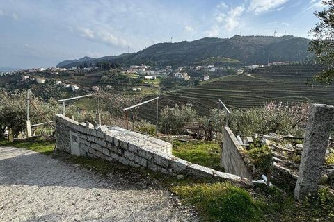 Helårsgrund i Tabuaco, Viseu, Tabuaco - € 43.000 | Ref: 830892 - foto 3