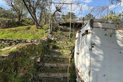 Helårsgrund i Tabuaco, Viseu, Tabuaco - € 43.000 | Ref: 830892 - foto 10