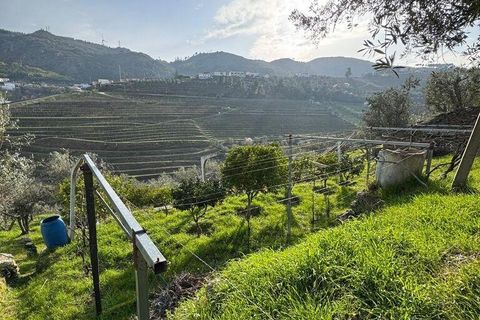 Helårsgrund i Tabuaco, Viseu, Tabuaco - € 43.000 | Ref: 830892 - foto 12