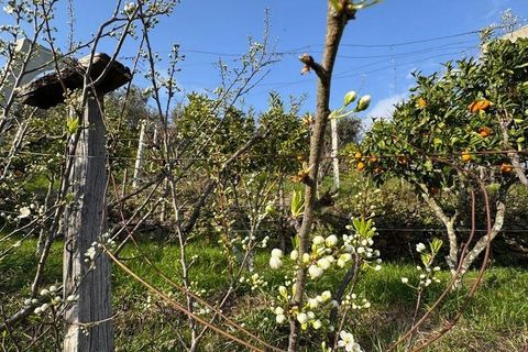 Helårsgrund i Tabuaco, Viseu, Tabuaco - € 43.000 | Ref: 830892 - foto 14