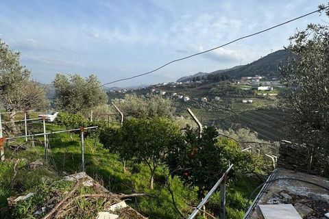 Helårsgrund i Tabuaco, Viseu, Tabuaco - € 43.000 | Ref: 830892 - foto 16