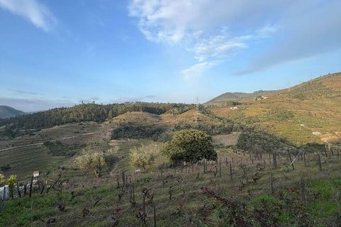 Byhus i Armamar, Viseu, Armamar - € 100.000 | Ref: 830721 - foto 3