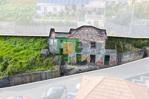 Villa a Ponta do Sol, Madeira, Ponta do Sol - € 130.000 | Ref: CT-1886/2026 - foto 4
