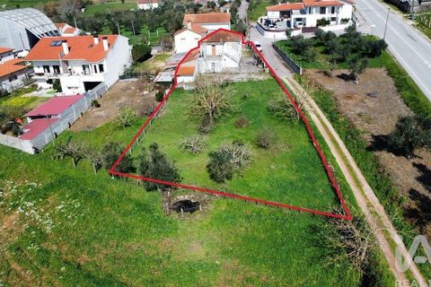 Byhus i Penela, Coimbra, Penela - € 120.000 | Ref: 839782 - foto 6
