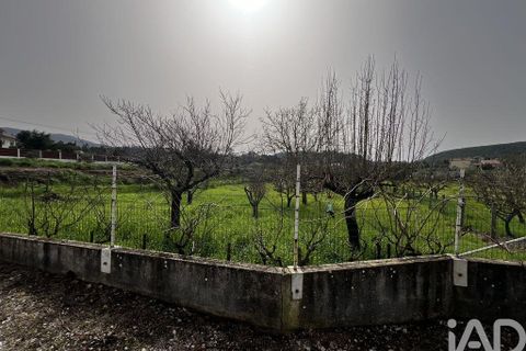 Byhus i Penela, Coimbra, Penela - € 120.000 | Ref: 839782 - foto 36