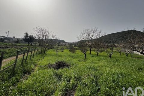 Byhus i Penela, Coimbra, Penela - € 120.000 | Ref: 839782 - foto 37