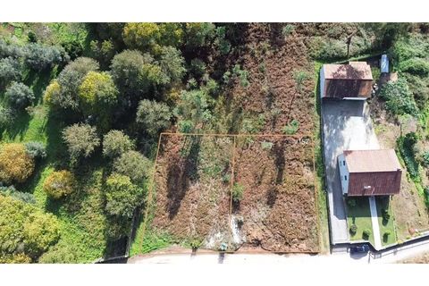 Helårsgrund i Ponte de Lima, Viana do Castelo, Ponte de Lima - € 68.000 | Ref: V157 - foto 3