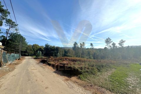 Helårsgrund i Ponte de Lima, Viana do Castelo, Ponte de Lima - € 68.000 | Ref: V157 - foto 5