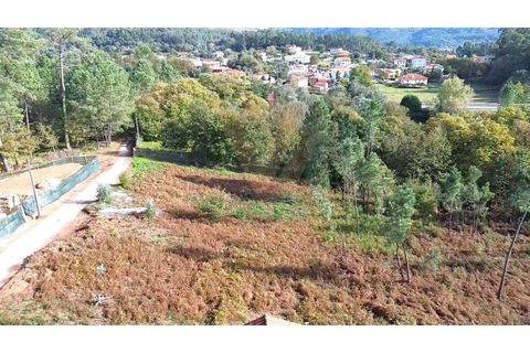 Tomt i Ponte de Lima, Viana do Castelo, Ponte de Lima - € 68 000 | Ref: V156 - foto 8