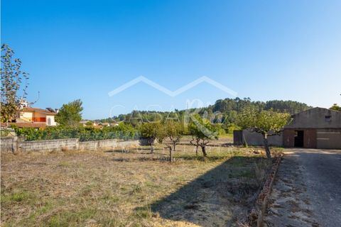 Villa i Anadia, Aveiro, Anadia - € 180.000 | Ref: CRBL1005 - foto 2