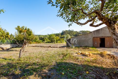 Villa i Anadia, Aveiro, Anadia - € 180.000 | Ref: CRBL1005 - foto 4