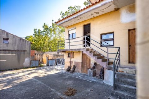 Villa i Anadia, Aveiro, Anadia - € 180.000 | Ref: CRBL1005 - foto 5