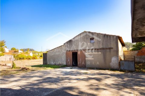 Villa i Anadia, Aveiro, Anadia - € 180.000 | Ref: CRBL1005 - foto 6