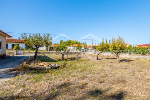 Villa i Anadia, Aveiro, Anadia - € 180.000 | Ref: CRBL1005 - foto 8