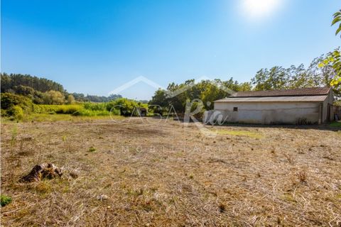 Villa i Anadia, Aveiro, Anadia - € 180.000 | Ref: CRBL1005 - foto 9